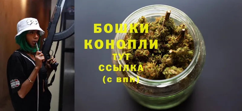 Каннабис White Widow  наркошоп  Александровск 